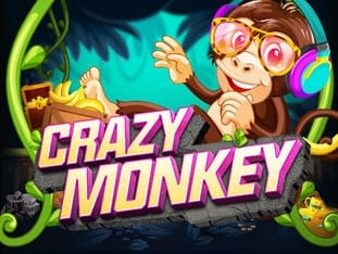 Crazy Monkey screenshot